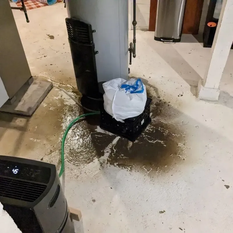 Sewage Backup Cleanup Service in Middlesboro, KY